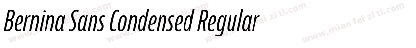 Bernina Sans Condensed Regular字体转换